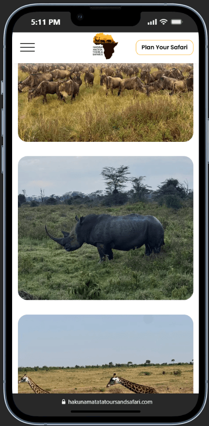 Hakuna Matata Tours & Safari